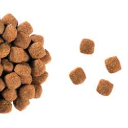 Royal Canin Neutered Young Female (Роял Канин) для стерилизованных кошек до 7 лет 1,5 кг Royal Canin Neutered Young Female (Роял Канин) для стерилизованных кошек до 7 лет 1,5 кг