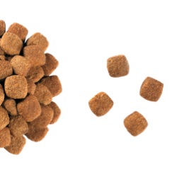 Royal Canin Neutered Young Male для стерилизованных котов до 7 лет 10 кг Royal Canin Neutered Young Male для стерилизованных котов до 7 лет 10 кг