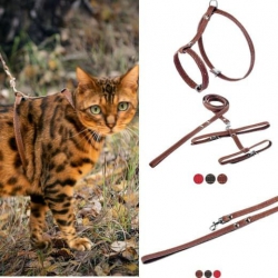 Шлея с поводком кожа 22-34 см 31-48 см 130 см Фауна красный Шлея с поводком кожа 22-34 см 31-48 см 130 см Фауна красный