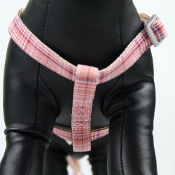 Шлея с поводком Мишка 1,5х120 см с рисунком Меланж Шлея с поводком Мишка 1,5х120 см с рисунком Меланж