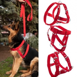 Шлея Эконом одинарная Красная 45 мм Шлея Эконом одинарная Красная 45 мм