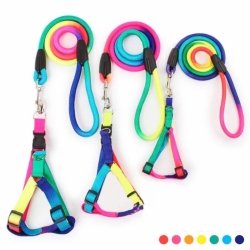 Шлея с поводком радуга 2,5х17-20100 см круглый шнур, ручка петля Шлея с поводком радуга 2,5х17-20100 см круглый шнур, ручка петля