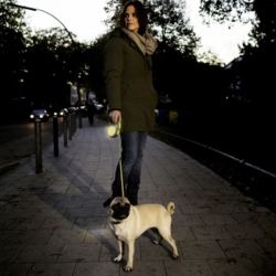 Рулетка для собак Neon S 5м15кг лента Розовая, 5м на 15кг лента Рулетка для собак Neon S 5м15кг лента Розовая, 5м на 15кг лента