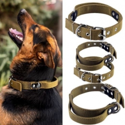 Ошейник с ручкой брезентовый 40 мм Ошейник с ручкой брезентовый 40 мм