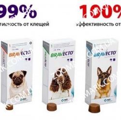 Таблетка Бравекто (Bravecto) для собак 20 - 40 кг Таблетка Бравекто (Bravecto) для собак 20 - 40 кг