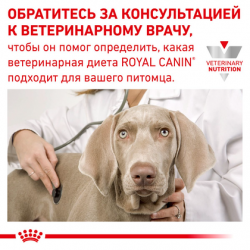 Royal Canin Recovery (Роял Канин Рекавери) консервы для собак и кошек 195 г 195г Royal Canin Sensitivity Control (Роял Канин Сенситивити контроль) Chicken Rice консервы для собак 420 г Royal Canin Sensitivity Control Chicken Rice консервы для собак 420 г Royal Canin Recovery (Роял Канин Рекавери) консервы для собак и кошек 195 г 195г Royal Canin Sensitivity Control (Роял Канин Сенситивити контроль) Chicken Rice консервы для собак 420 г Royal Canin Sensitivity Control Chicken Rice консервы для собак 420 г