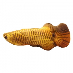 Игрушка для животных Рыба арована 40см Игрушка для животных Рыба арована 40см