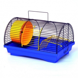 Клетка Лори Бунгало -1 Краска Клетка Лори Бунгало -1 Краска