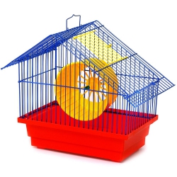 Клетка для грызунов Хатынка, Лори 280180290 мм Краска Клетка для грызунов Хатынка, Лори 280180290 мм Краска