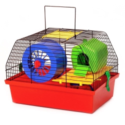 Клетка ЛОРИ Вилла Люкс 1 краска 335225227 мм Клетка ЛОРИ Вилла Люкс 1 краска 335225227 Клетка ЛОРИ Вилла Люкс 1 краска 335225227 мм Клетка ЛОРИ Вилла Люкс 1 краска 335225227