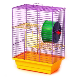 Клетка Лори ДОМ Краска Клетка Лори ДОМ Краска