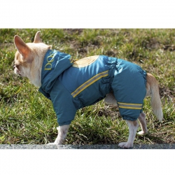 Комбинезон Валюта для собак мальчиков на силиконе XS Комбинезон Валюта для собак мальчиков на силиконе XS