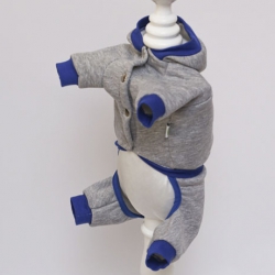 Дракоша комбинезон для собак мальчиков трикотаж на флисе S Дракоша комбинезон для собак мальчиков трикотаж на флисе S