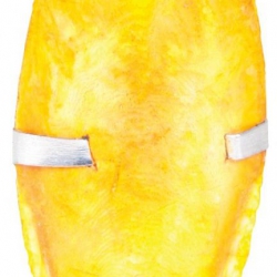 Панцири каракатицы ассорти с держателем 12 см, Трикси 5052 Сепия для попугаев, Трикси 5052 Панцири каракатицы ассорти с держателем 12 см, Трикси 5052 Сепия для попугаев, Трикси 5052