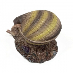 Декор для аквариума Ракушка малая на камне 55.55 см 208S4 Декор для аквариума Ракушка малая на камне 55.55 см 208S4