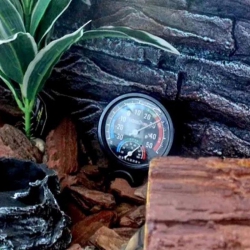 Термометр-гигрометр для Террариума -30 50 NFF-02 Термометр-гигрометр для Террариума -30 50 NFF-02