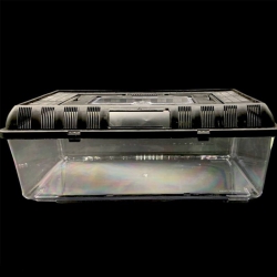 Террариум пластиковый прямоугольный размер 411325 Террариум пластиковый прямоугольный размер 411325