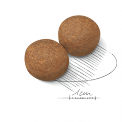 Royal Canin (Роял Канин) Maxi Adult 4 кг Royal Canin (Роял Канин) Maxi Adult 4 кг