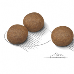 Royal Canin (Роял Канин) Medium digestive care 3 кг от 10 мес Royal Canin (Роял Канин) Medium digestive care 3 кг от 10 мес