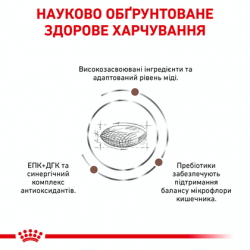 Royal Canin Hepatic Dog (Роял Канин Гепатик) 12,0 кг Royal Canin Hepatic Dog (Роял Канин Гепатик) 12,0 кг