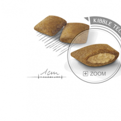 Royal Canin (Роял Канин) Mini Exigent сухой корм для привередливых собак 2 кг Royal Canin (Роял Канин) Mini Exigent сухой корм для привередливых собак 2 кг