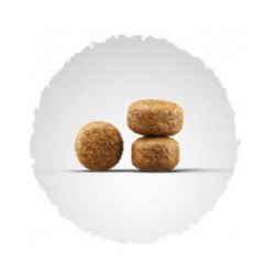 Josera Balance для малоактивных и пожилых собак 15кг Josera Balance для малоактивных и пожилых собак 15кг