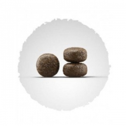 Josera Lamm Reis сухой корм для собак с ягненком и рисом 900г Josera Lamm Reis сухой корм для собак с ягненком и рисом 900г