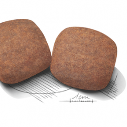 Royal Canin (Роял Канин) Giant Adult 4 кг Royal Canin (Роял Канин) Giant Adult 4 кг