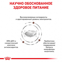 Royal Canin Gastro Intestinal Dog (Роял Канин Гастро интестинал) 2 кг Royal Canin Gastro Intestinal Dog (Роял Канин Гастро интестинал) 2 кг