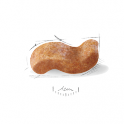 Royal Canin (Роял Канин) Boxer Adult 26 сухой корм для взрослых боксеров 3 кг Royal Canin (Роял Канин) Boxer Adult 26 сухой корм для взрослых боксеров 3 кг