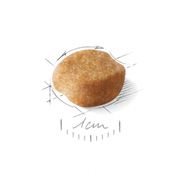 Royal Canin (Роял Канин) Yorkshire Terrier Adult 28 сухой корм для йорков 500 г Royal Canin (Роял Канин) Yorkshire Terrier Adult 28 сухой корм для йорков 500 г