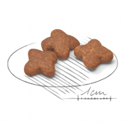 Royal Canin (Роял Канин) Mini Adult 8 для зрелых собак мини пород 800 г Royal Canin (Роял Канин) Mini Adult 8 для зрелых собак мини пород 800 г