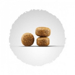 Josera Balance для малоактивных и пожилых собак 900г Josera Balance для малоактивных и пожилых собак 900г