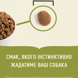 ACANA Adult Large Breed для взрослых собак крупных пород 17кг ACANA Adult Large Breed для взрослых собак крупных пород 17кг