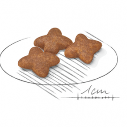 Royal Canin (Роял Канин) Mini Adult 4 кг Royal Canin (Роял Канин) Mini Adult 4 кг