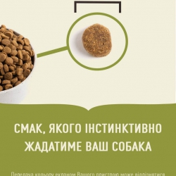 ACANA Puppy Large breed 11.4 кг - корм для щенков крупных пород 1 шт ACANA Puppy Large breed 11.4 кг - корм для щенков крупных пород 1 шт