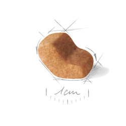 Royal Canin (Роял Канин) Shih Tzu Adult сухой корм для Ши-тцу 1.5kg Royal Canin (Роял Канин) Shih Tzu Adult сухой корм для Ши-тцу 25 Royal Canin (Роял Канин) Shih Tzu Adult сухой корм для Ши-тцу 1.5kg Royal Canin (Роял Канин) Shih Tzu Adult сухой корм для Ши-тцу 25