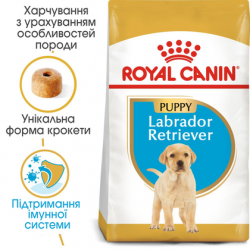 Royal Canin (Роял Канин) Labrador Retriever Puppy сухой корм для щенков лабрадоров 3кг Royal Canin (Роял Канин) Labrador Retriever Puppy сухой корм для щенков лабрадоров 3кг