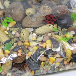 Корисна комора TARIFTY SGUIRREL лакомства для белок 500гр Корисна комора TARIFTY SGUIRREL лакомства для белок 500гр